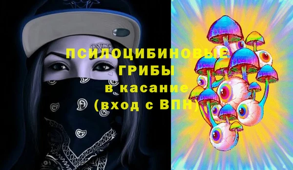 мяу мяу мука Бородино