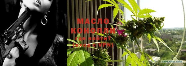 прущие грибы Верхний Тагил