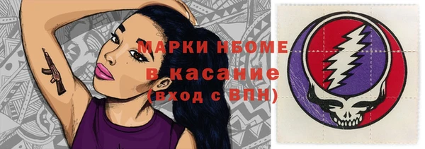 прущие грибы Верхний Тагил