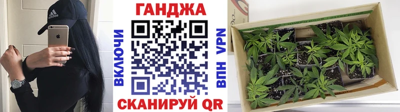 Каннабис OG Kush  Цивильск 